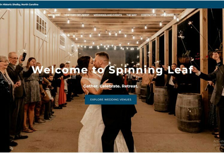 the-spinning-leaf-seo-project